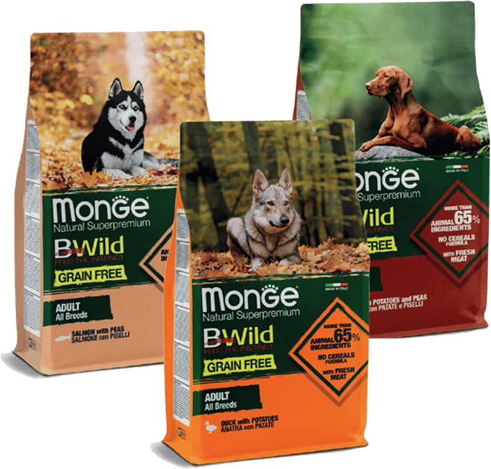 monge-cane-bewild-12kg