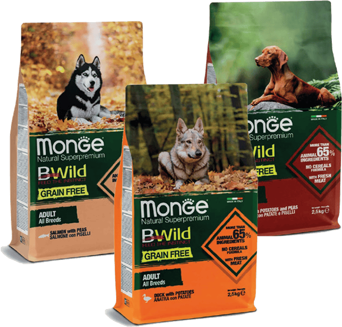 monge-cane-bewild-2_5kg