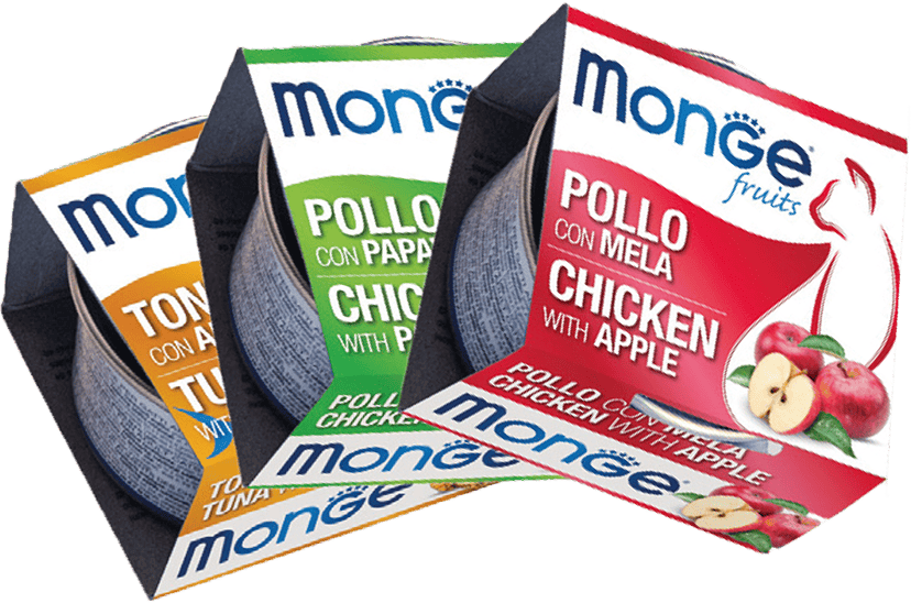monge-gatto-fruit