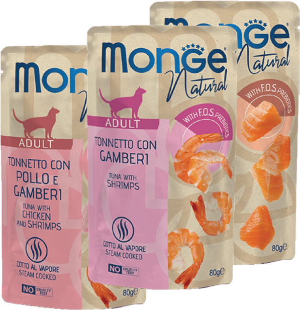 monge-gatto-natural-buste
