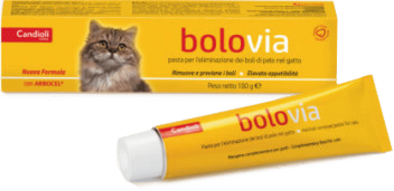 candioli-bolovia-100