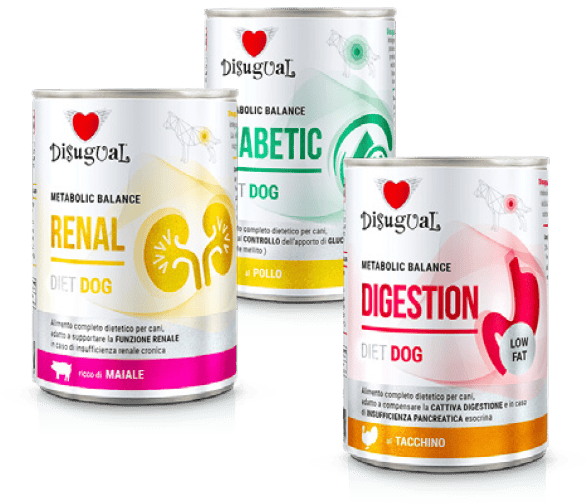desigual-lattine-dietetiche