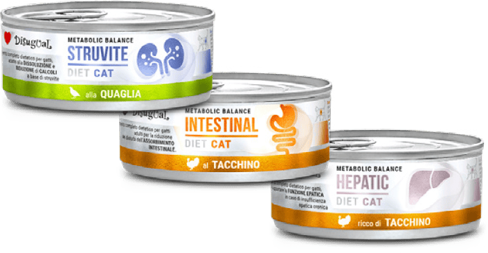 desigual-lattine-gatto-dietetiche