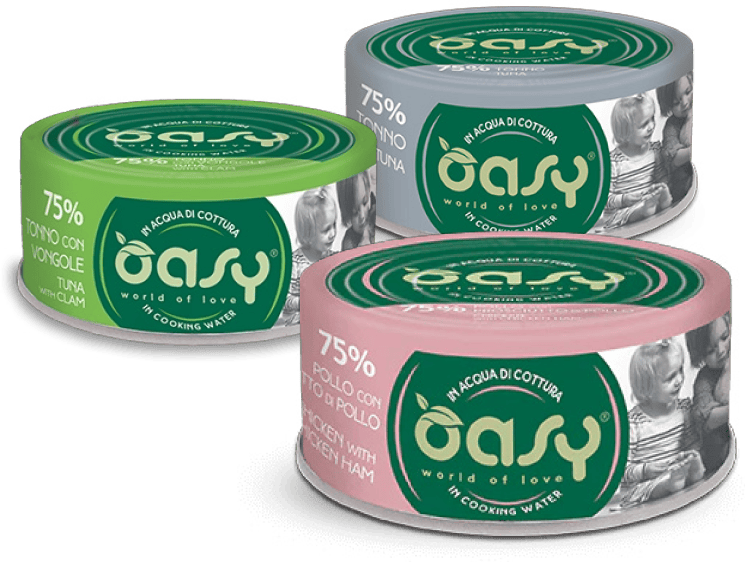 oasy-cat-cooking-water-70